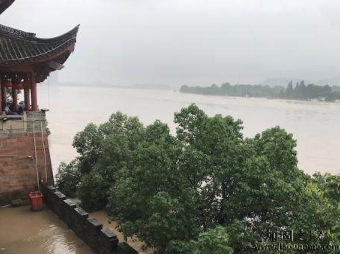錢塘江暴發(fā)大洪水，植筋加固過的房屋能撐得住嗎