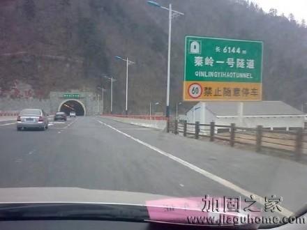 大客車碰撞隧道致36人死亡，隧道設(shè)計不合理需要改造加固？