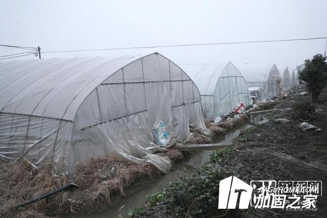 大雪來臨加固大棚 減少農業(yè)損失！