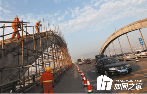 百萬螞蟻建懸空橋，橋梁加固如何進(jìn)行?