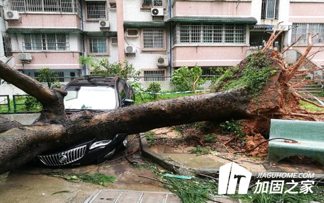 臺風“山竹”對建筑物造成多大的影響？